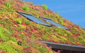 Nettlecombe living roof systems