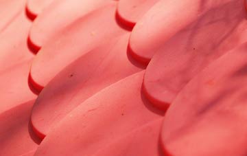 Nettlecombe plastic roof costs