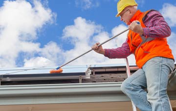 Nettlecombe soft wash roof cleaning