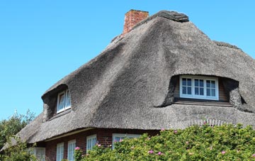 thatch roofing Nettlecombe