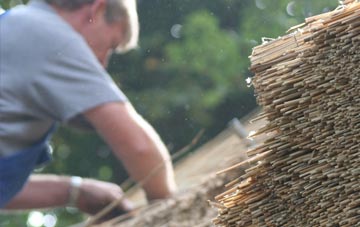 professional Nettlecombe thatchers