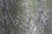 Nettlecombe fibreglass roof work